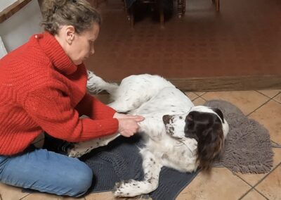 Massage canin Tinto