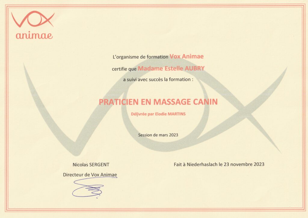 Certification Masseur Canin