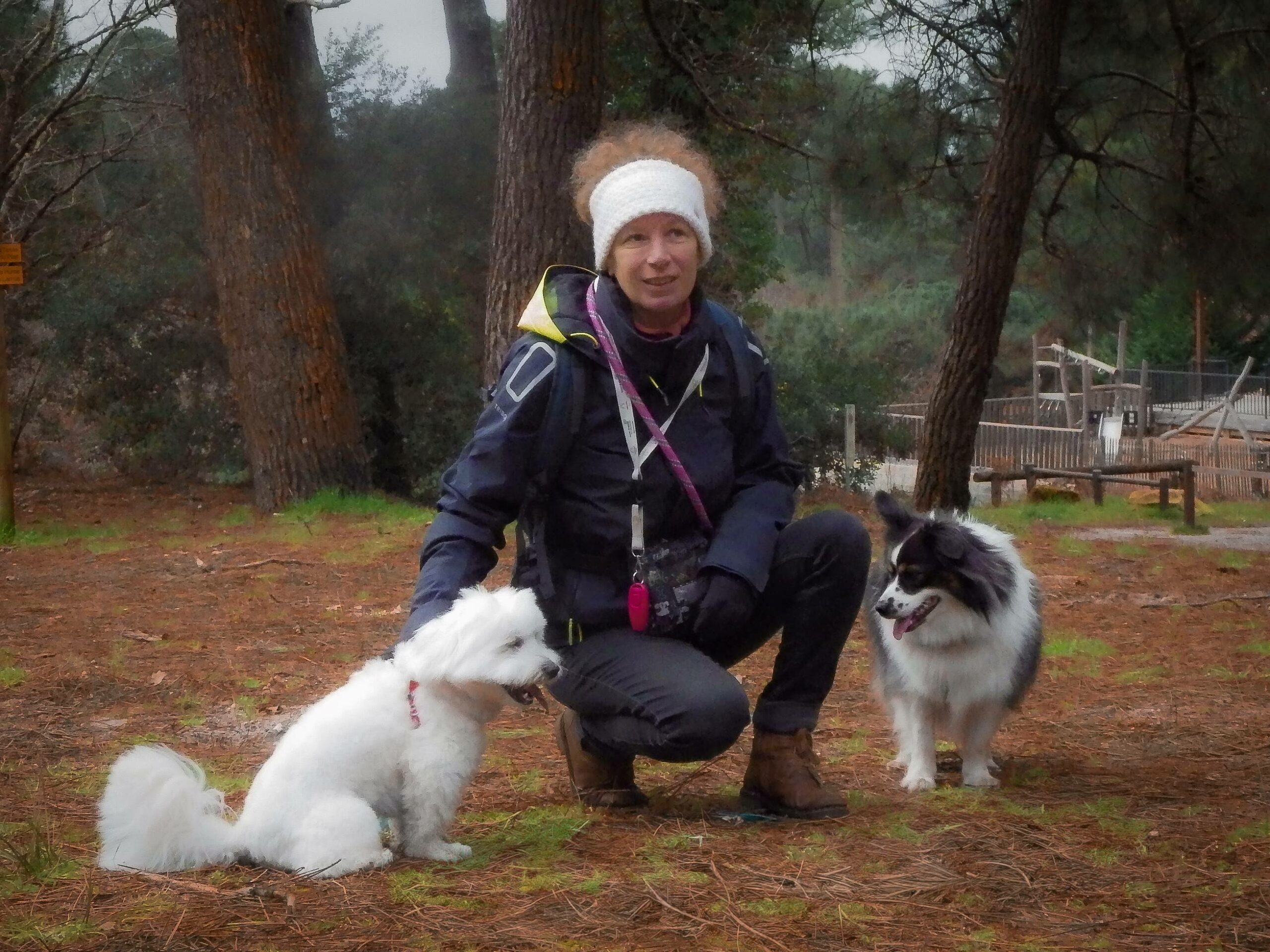 chien en balade